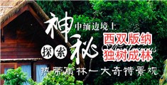 美女让人插私密视频在线播放免费网络网址